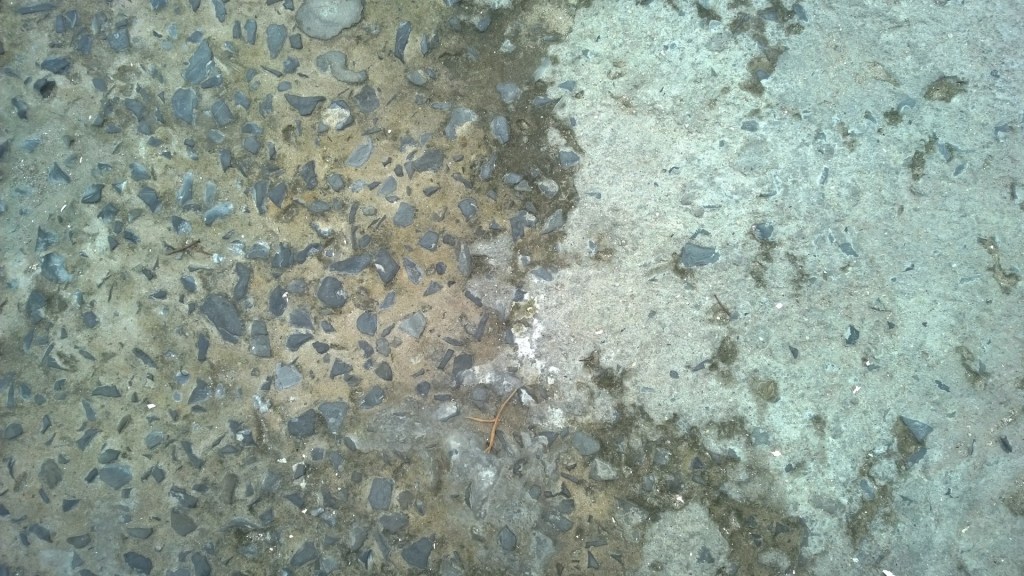 60 Kilometers On The Road&nbsp;Everyday