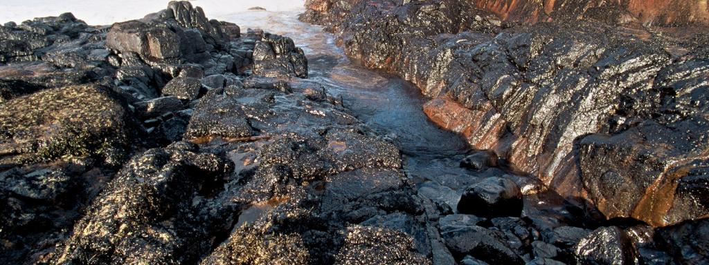 If The Sea Were&nbsp;Tar…